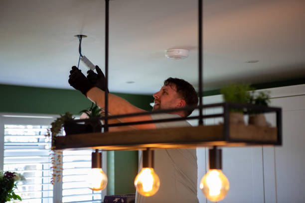 Best Electric Panel Repair  in Ingram, PA